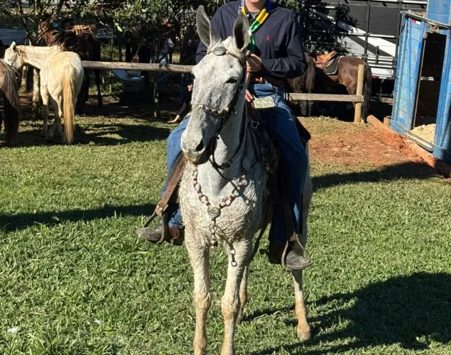 Burro