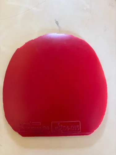 Borracha tenis de mesa Fastarc g1- usada 6 meses