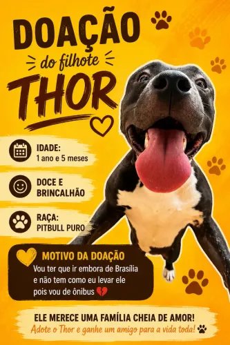 Doação