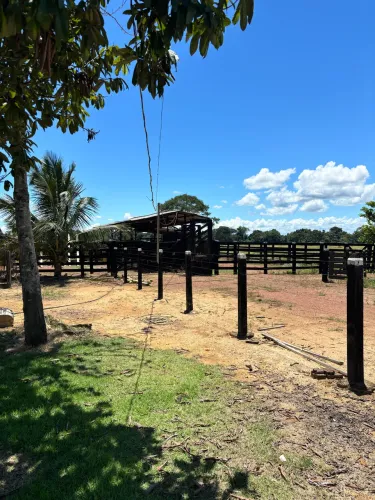 VENDE-SE SÍTIO TODO FORMADO A BEIRA DA BR 163 