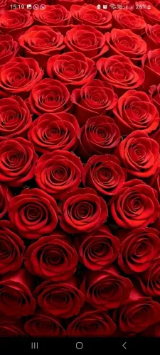 Flores e Decorações