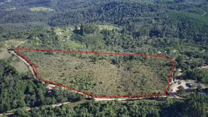 Área rural 4,71 alqueires Campo Largo, Três Córregos, 70% limpa, 15Km chão, rio.