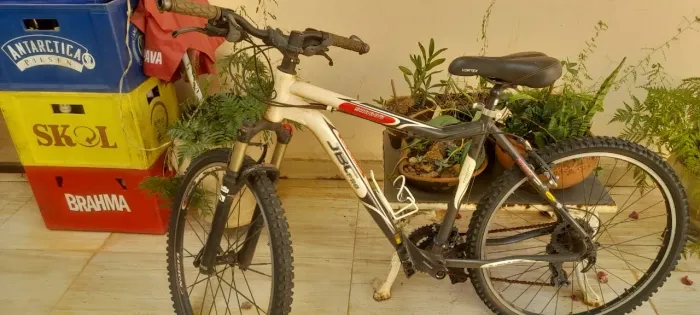 Aro 20 Mountain bike