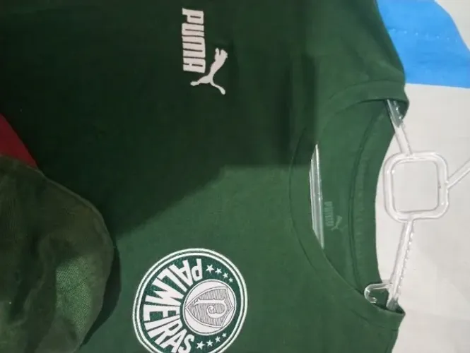 Conjunto Camisa e boné palmeiras puma