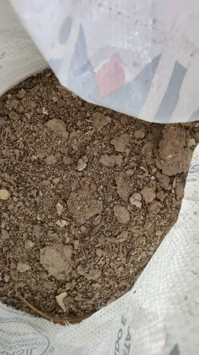 Esterco adubo cama de galinha curtido 