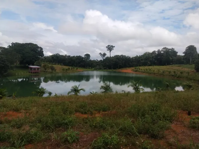 OPORTUNIDADE, Fazenda na Estrada de Autazes, 500.000m2 com Resgistro de Imóveis!
