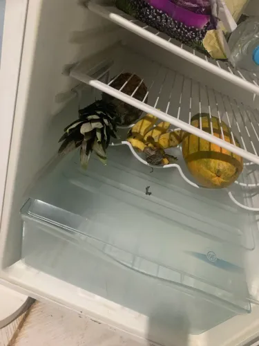 Geladeira