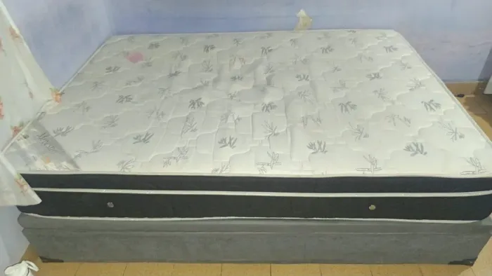 Cama