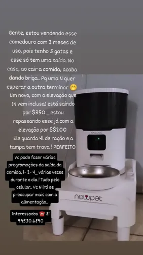 Comedouro automático para cães e gatos