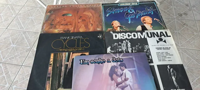 5 lps vinil diversos perfeitos 50,00 cada.