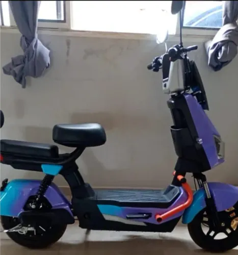 Bicicleta Elétrica