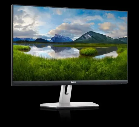 Monitor Dell S2421HN Full Hd 75hz