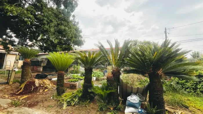 Oportunidade - Terreno - Jardim das Indústrias - 250m². Terreno - Jardim das Indústrias -