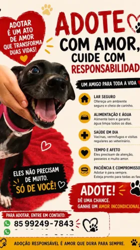 Doação 