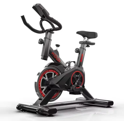 Bicicleta ergométrica