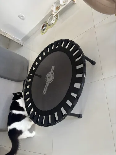 Cama elástica nova