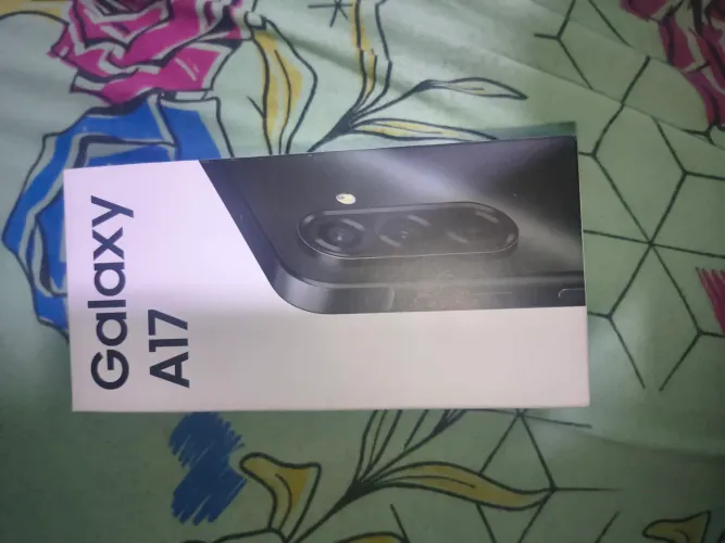 A17