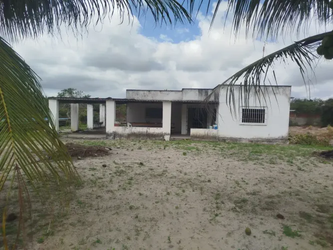 Imóvel para venda possui 8800 metros quadrados com 4 quartos em Centro - São José de Mipib