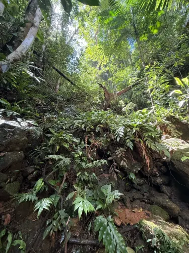 Terreno 6km de domingos martins centro