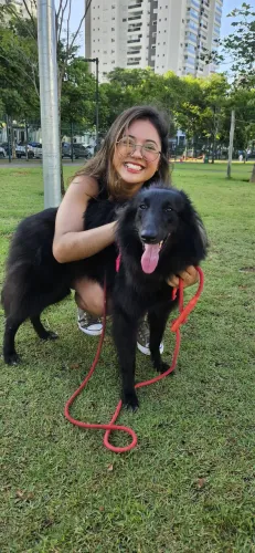 Adestramento de Cães