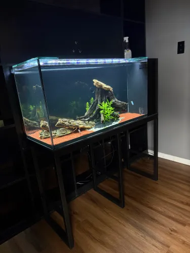 Aquário para peixes