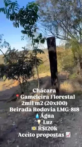 Chácara em Florestal 2.000m2