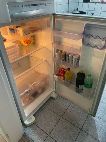 Geladeira Electrolux Frost Free DF46