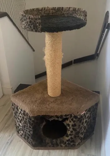 Casinha arranhador para gatos