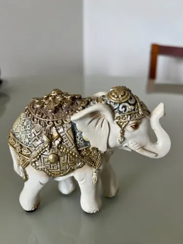 Elefante indiano