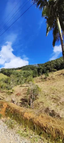 Limpeza propriedade rural