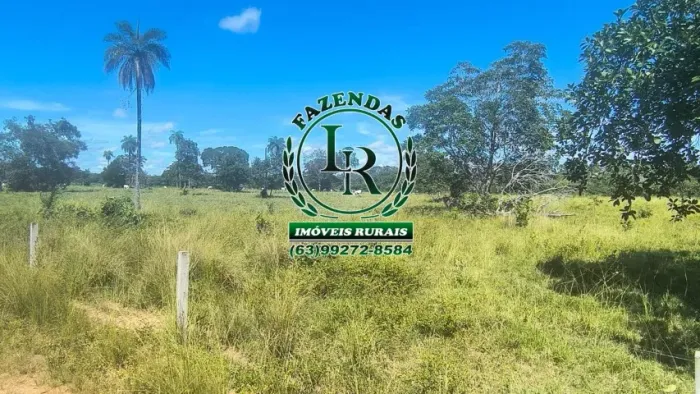 FAZENDA DUPLA APTIDÃO REGIÃO PEDRO AFONSO