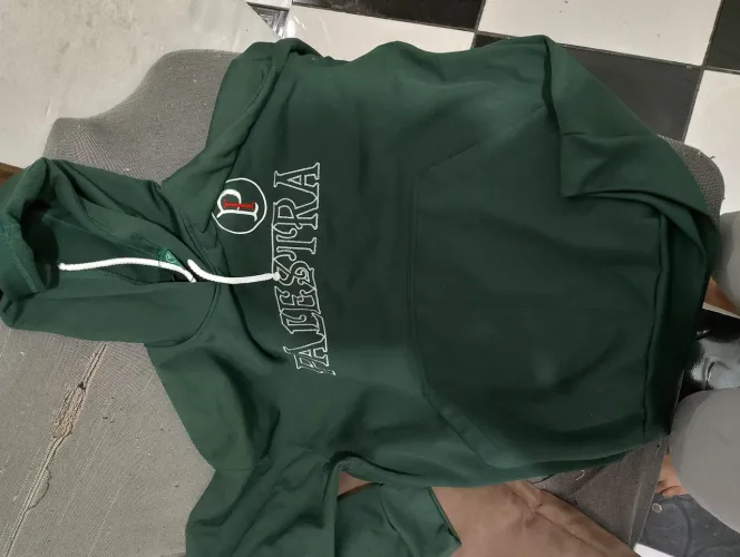 Blusa de Frio do Palmeiras 
