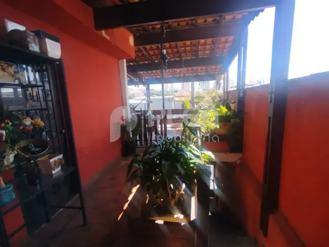 Casa para locação, Vila Aurora (Zona Norte), São Paulo, SP