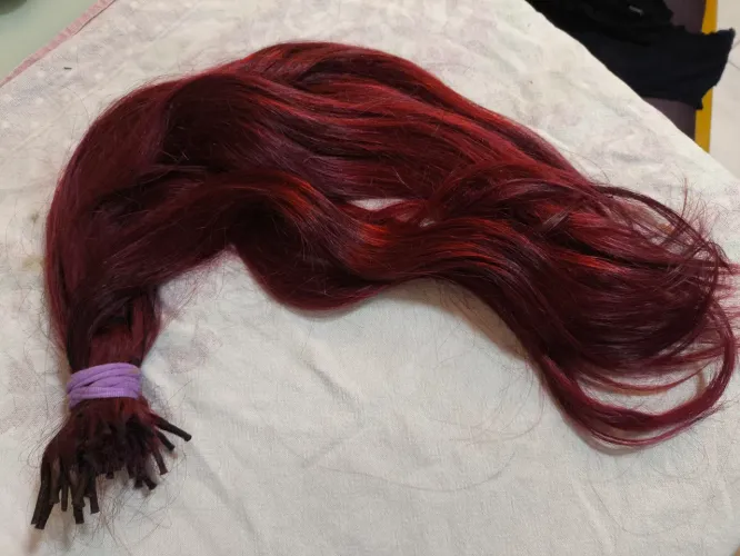 Cabelo humano brasileiro