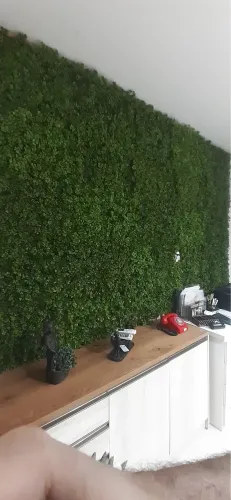 Parede verde