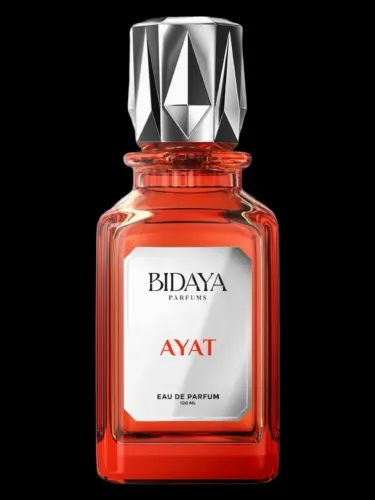 Perfume Bidaya Ayat