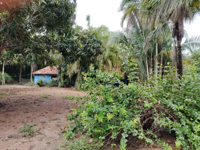 Sítio em Caseara Tocantins 
