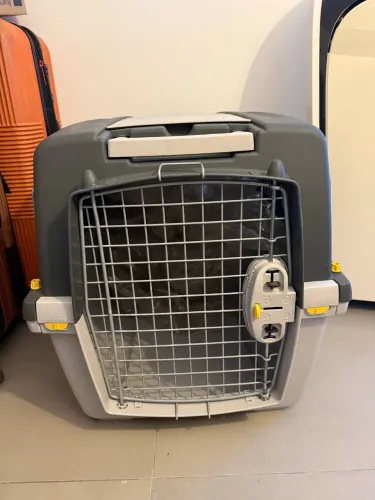 Caixa para transporte de pet