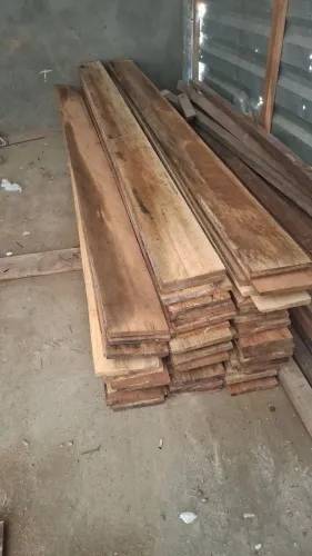 Tabua azimbre entregamos aparti de 3 duzias