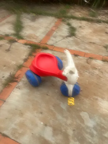 Brinquedo criança 
