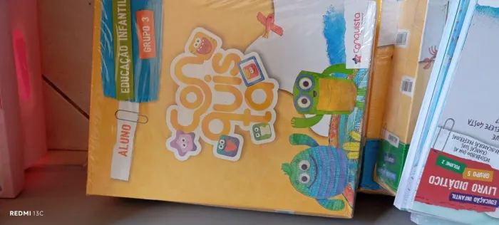 Temos alguns livros da editora positivo 