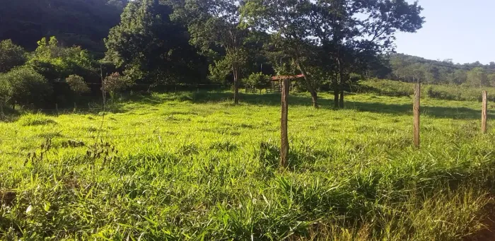 Área 7 Alqueires /50% Pastagem ,Poço Próprio ,Baixadas pra piquetes..Escriturado!! 