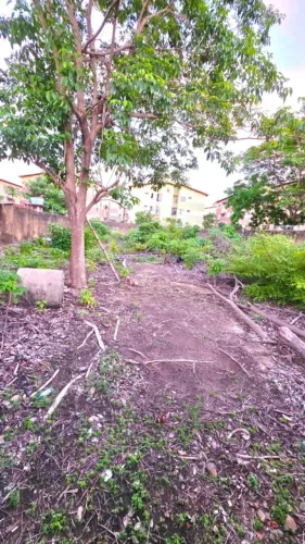 Terreno de 1.000 m² à Venda Rua Nova, à poucos Metros da São Luis Rei de França Turu,