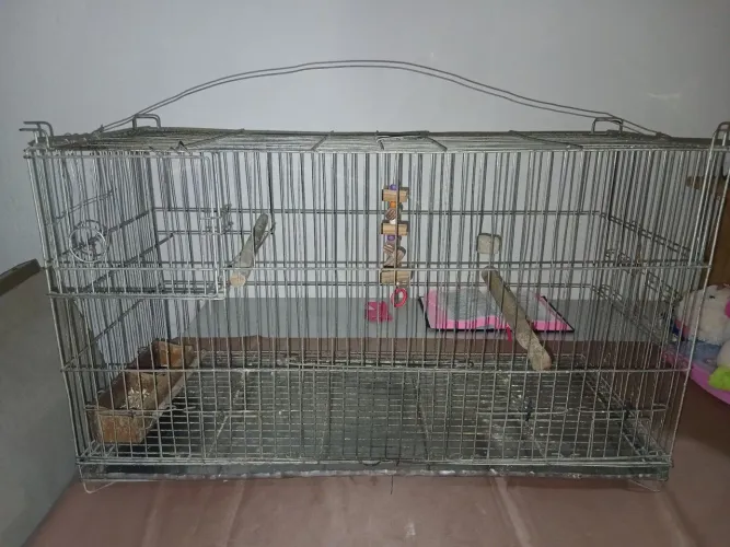 Gaiola para calopsita com brinquedo