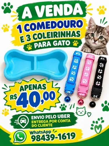 1 COMEDOURO 3 COLEIRINHAS PARA GATO