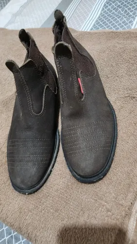 Bota