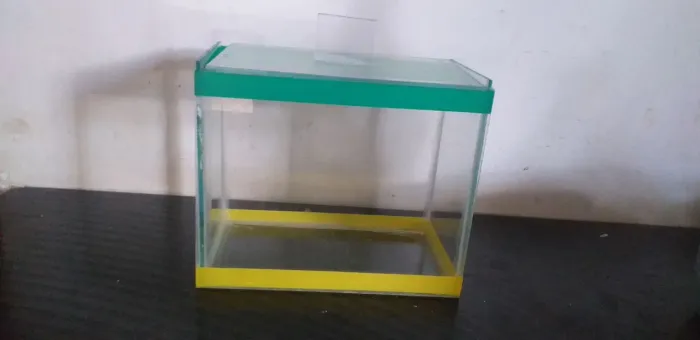 Aquário 3 litros
