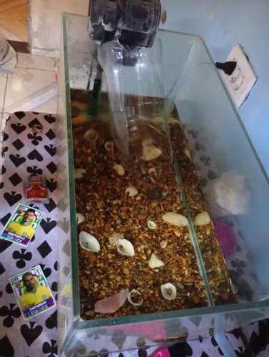 Vendo aquário valor 200