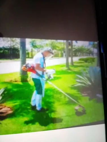 Serviço de jardim de podar de árvore ? *