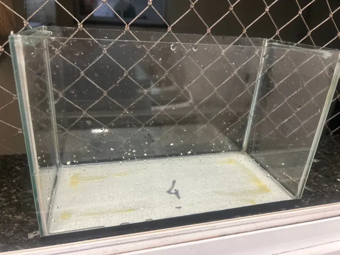 Aquário de 12 litros + bomba 600lh